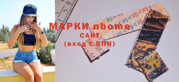 МДПВ Бородино