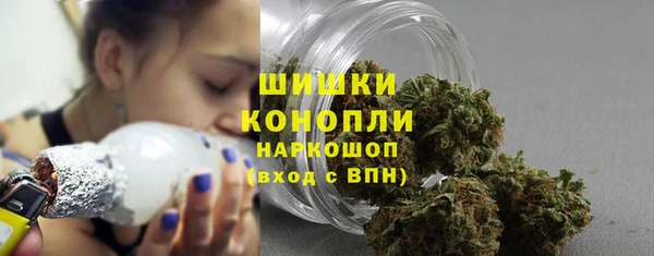 МДПВ Бородино