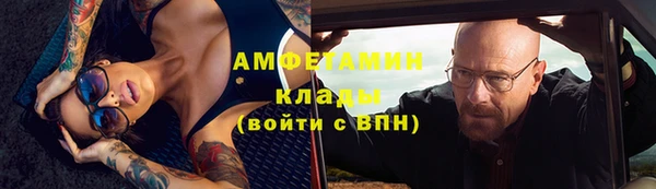МДПВ Бородино