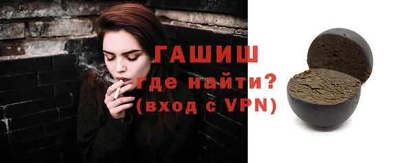 МДПВ Бородино