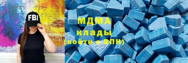 МДПВ Бородино