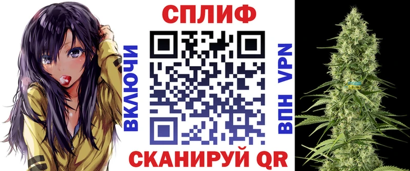 Бошки Шишки семена OMG маркетплейс Миллерово
